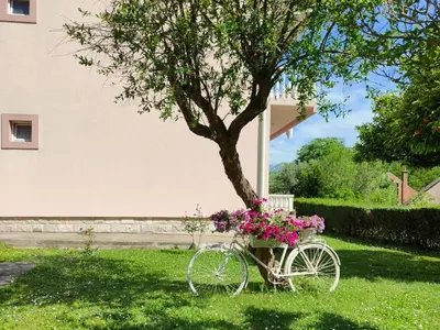 a bike parked next to a tree with flowers at Apartman DolceRosa in Kotor