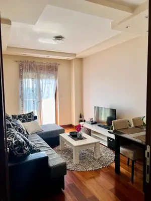 a living room with a couch and a television at Urban Suite Athos in Podgorica