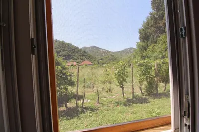 a window with a view of a field of trees at Apartments Stevan in Bar
