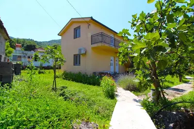 a house in the middle of a green yard at Apartments Stevan in Bar