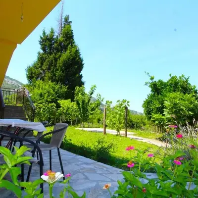 Apartments Stevan