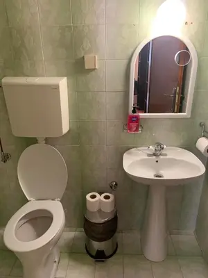 a bathroom with a toilet and a sink and a mirror at Apartments Dunja in Sveti Stefan