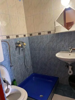 a bathroom with a shower and a toilet and a sink at Apartments Dunja in Sveti Stefan