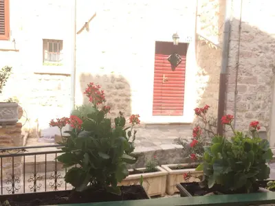 two potted plants with red flowers in front of a building at Apartment Ozana in Kotor