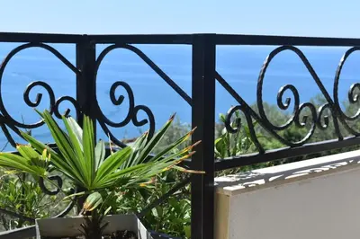 a view from a balcony with a plant at Guesthouse HHL - Liman ll in Ulcinj