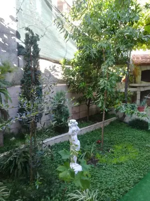 a white statue in the middle of a garden at Apartments Dijana in Budva