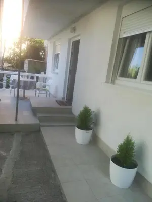 two potted plants sitting on the side of a house at Apartments Dijana in Budva
