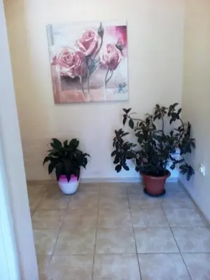 a hallway with two potted plants and paintings on the wall at Apartments Dijana in Budva