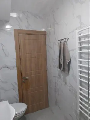 a bathroom with a toilet and a wooden door at Obilex in Podgorica