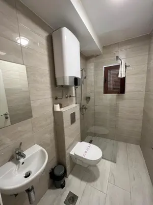 a bathroom with a toilet and a sink at Zeta Lux in Mitrovići