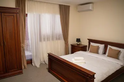 a bedroom with a large bed and a window at Zeta Lux in Mitrovići