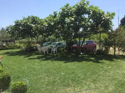 a yard with cars and tables and a tree at Apartments Sija in Ulcinj