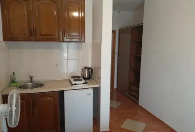 a small kitchen with a sink and a dishwasher at Apartments Nurkovic in Dobra Voda