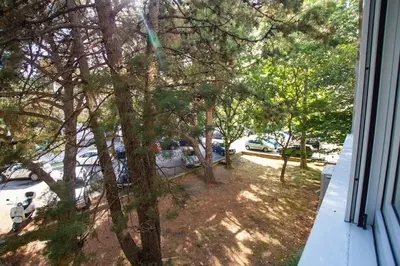 a view from a window of a yard with trees at Milan apartment in Bar
