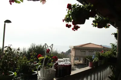 a balcony filled with potted plants and flowers at Apartments Grloman in Sveti Stefan