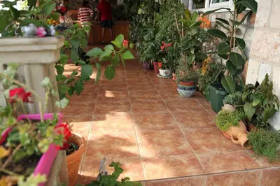 a bunch of potted plants on a tile floor at Apartments Grloman in Sveti Stefan