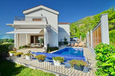 a villa with a swimming pool and a house at Sunny Villa in Kavac in Tivat