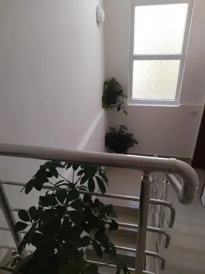 a staircase with a plant and a window at Family House Milic in Ulcinj in Ulcinj