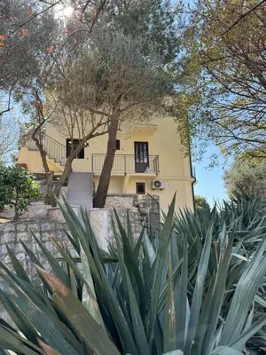 a yellow house with a tree and some plants at Midpoint in Kotor