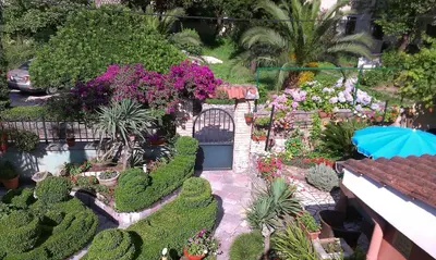 a garden with a lot of plants and flowers at Apartment City Garden in Kotor