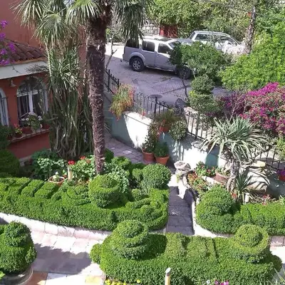 Apartment City Garden