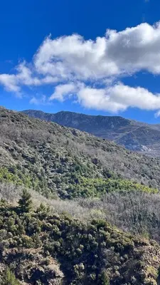 a hill with trees and mountains in the background at Orhid apartment Becici one in Budva