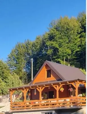 a large wooden cabin with trees in the background at Oasis of Peace in Cetinje
