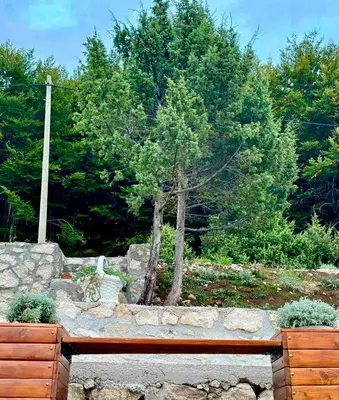 a garden with a stone wall and a tree at Oasis of Peace in Cetinje