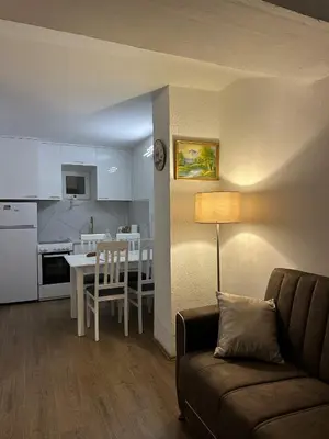 a living room with a couch and a table and a kitchen at Budva apartman Centar in Budva