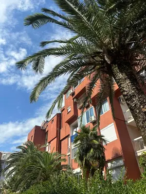 a red building with palm trees in front of it at Budva apartman Centar in Budva