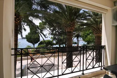 a balcony with a view of the ocean and palm trees at Apartments Dangubic in Petrovac na Moru
