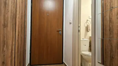 a bathroom with a wooden door and a toilet at Podgorica apartment in Podgorica