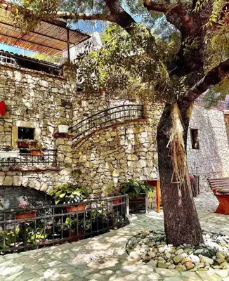 a tree in front of a stone building at Shasi Eco Lodge in Ambula
