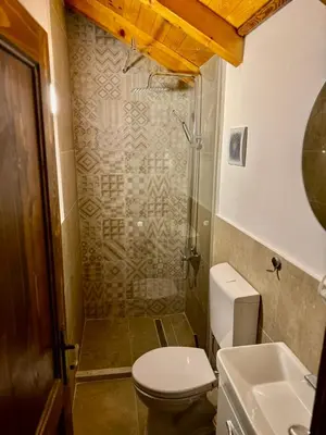 a bathroom with a shower and a toilet and a sink at Shasi Eco Lodge in Ambula