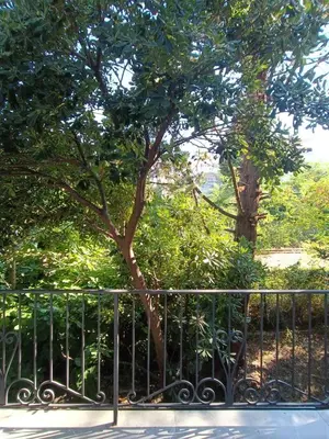 a fence next to a tree with a tree at Digital Nomads Camp in Bar, Susanj