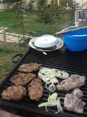 a grill with meat and vegetables on it at Apartments Svetlana in Utjeha