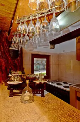 a kitchen with a bunch of glasses hanging from the ceiling at Apartment Jovicevic in Rijeka Crnojevića