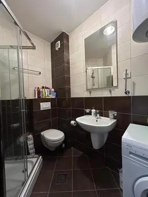 a bathroom with a sink and a toilet and a shower at Apartment Pegaz in Budva