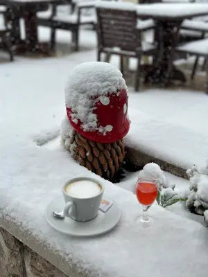 a cup of coffee and a pine cone with snow on it at Hotel Monte Rosa in Cetinje