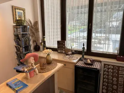 a kitchen with a counter with a doll sitting on it at Hotel Monte Rosa in Cetinje