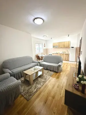 Gallery image of Roomy Lux Apartmant in Podgorica