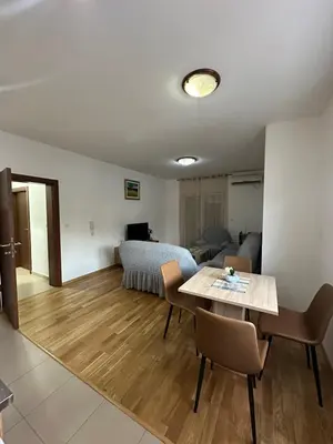 Gallery image of Roomy Lux Apartmant in Podgorica