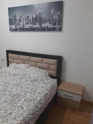 Gallery image of Roomy Lux Apartmant in Podgorica
