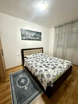 Gallery image of Roomy Lux Apartmant in Podgorica