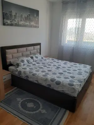Gallery image of Roomy Lux Apartmant in Podgorica