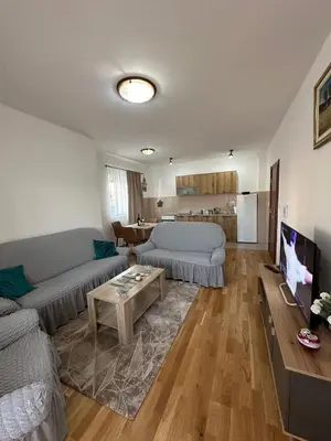 Gallery image of Roomy Lux Apartmant in Podgorica