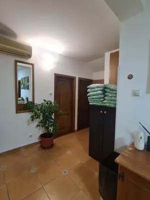 a room with a plant sitting on a cabinet at Sobe Nedović in Budva