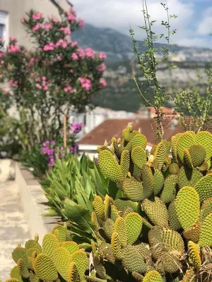 Gallery image of Lovely studio with a view in Podmaine