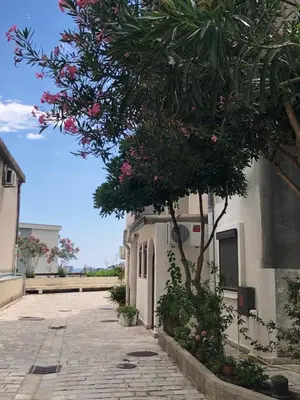 Gallery image of Lovely studio with a view in Podmaine