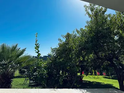 a group of trees in a park with a blue sky at Apartments Duraku in Ulcinj